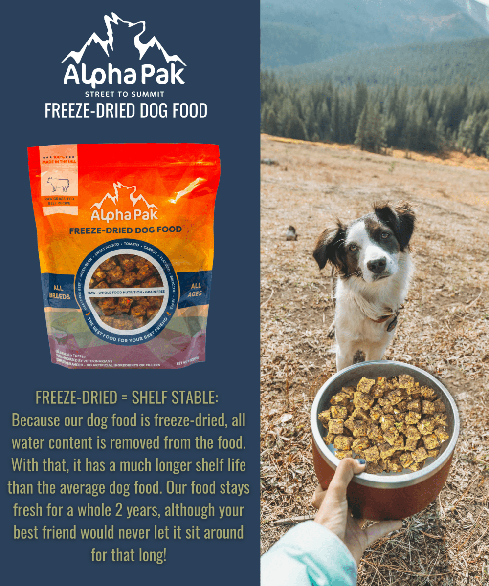 PREMIUM RAW FREEZE DRIED DOG FOOD - The Snag Bin
