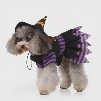 Pet Costumes