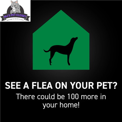 Protect Your Dog from Fleas & Ticks with NEXTSTAR: Fast - Acting 3 - Month Supply for Dogs 45 - 88 Lbs - The Snag Bin