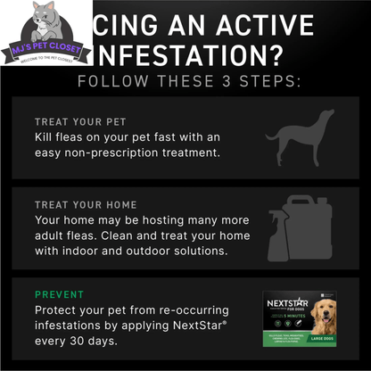 Protect Your Dog from Fleas & Ticks with NEXTSTAR: Fast - Acting 3 - Month Supply for Dogs 45 - 88 Lbs - The Snag Bin