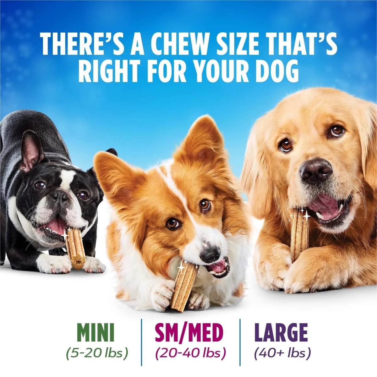 Purina Daily Oral Care Large Dog Treats Dental Chews with Chicken - The Snag Bin