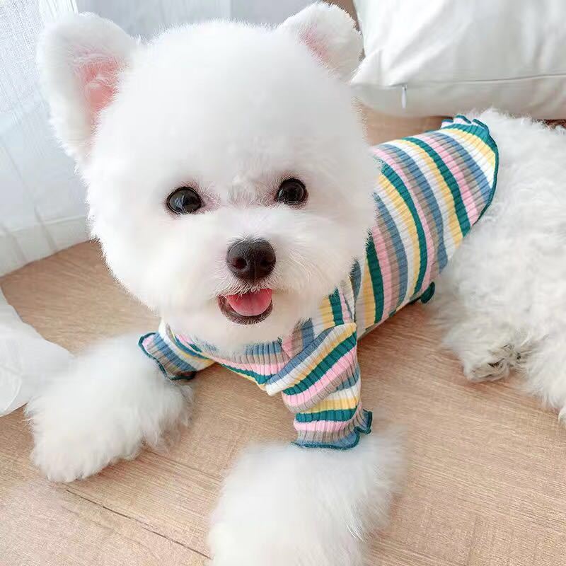 Rainbow Undercoat Dog Clothes - The Snag Bin