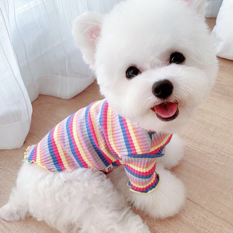 Rainbow Undercoat Dog Clothes - The Snag Bin