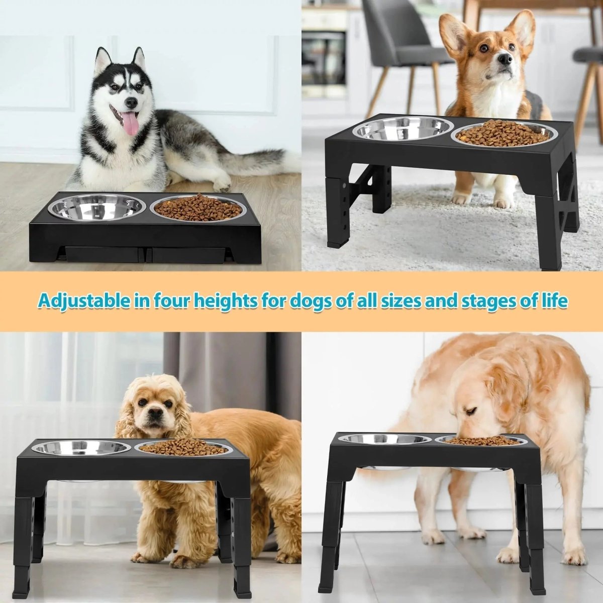 Raised Dog Bowl Stands with Stainless Steel Dishes - The Snag Bin