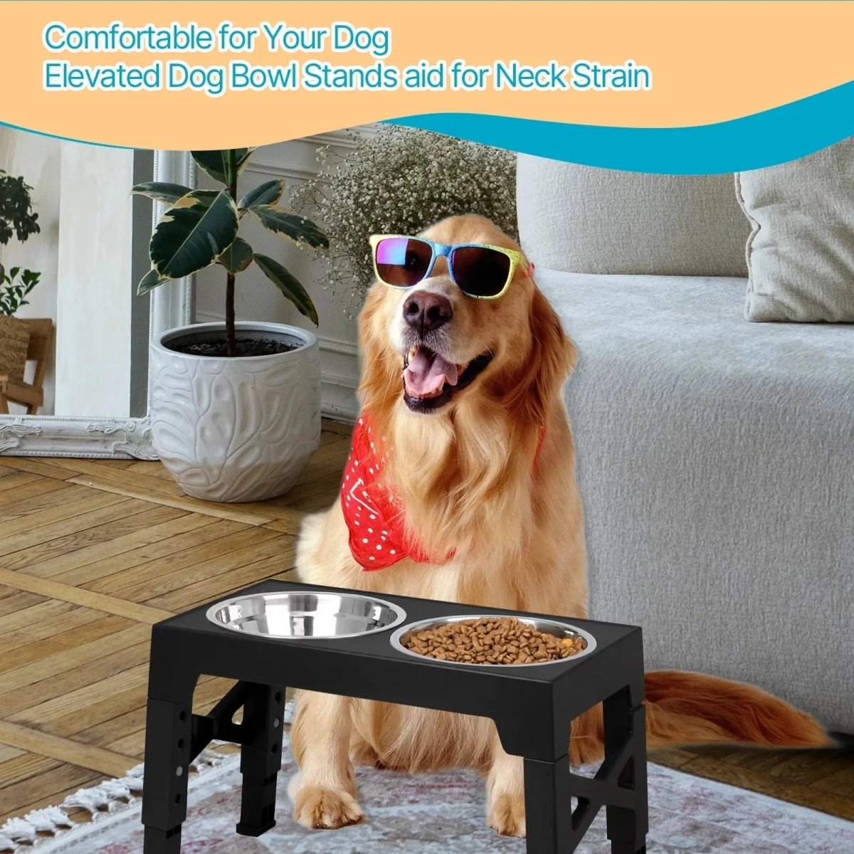 Raised Dog Bowl Stands with Stainless Steel Dishes - The Snag Bin
