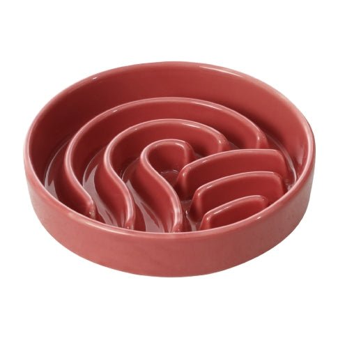 Raised Slow Feeder Dog Bowls - The Snag Bin