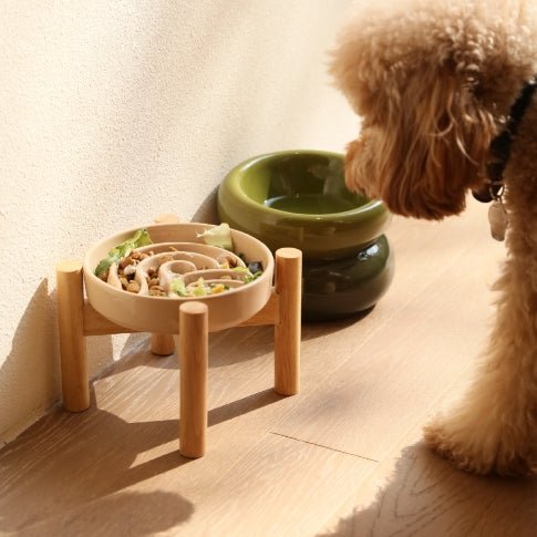 Raised Slow Feeder Dog Bowls - The Snag Bin