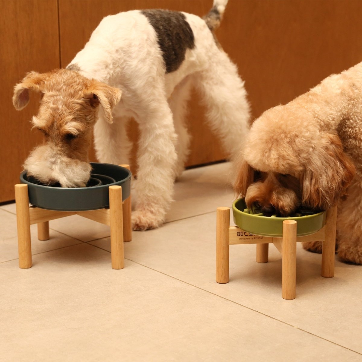 Raised Slow Feeder Dog Bowls - The Snag Bin