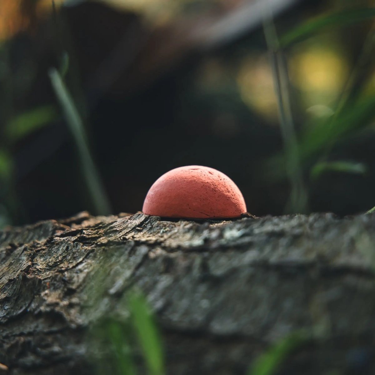 RED KLUK CHALK - The Snag Bin