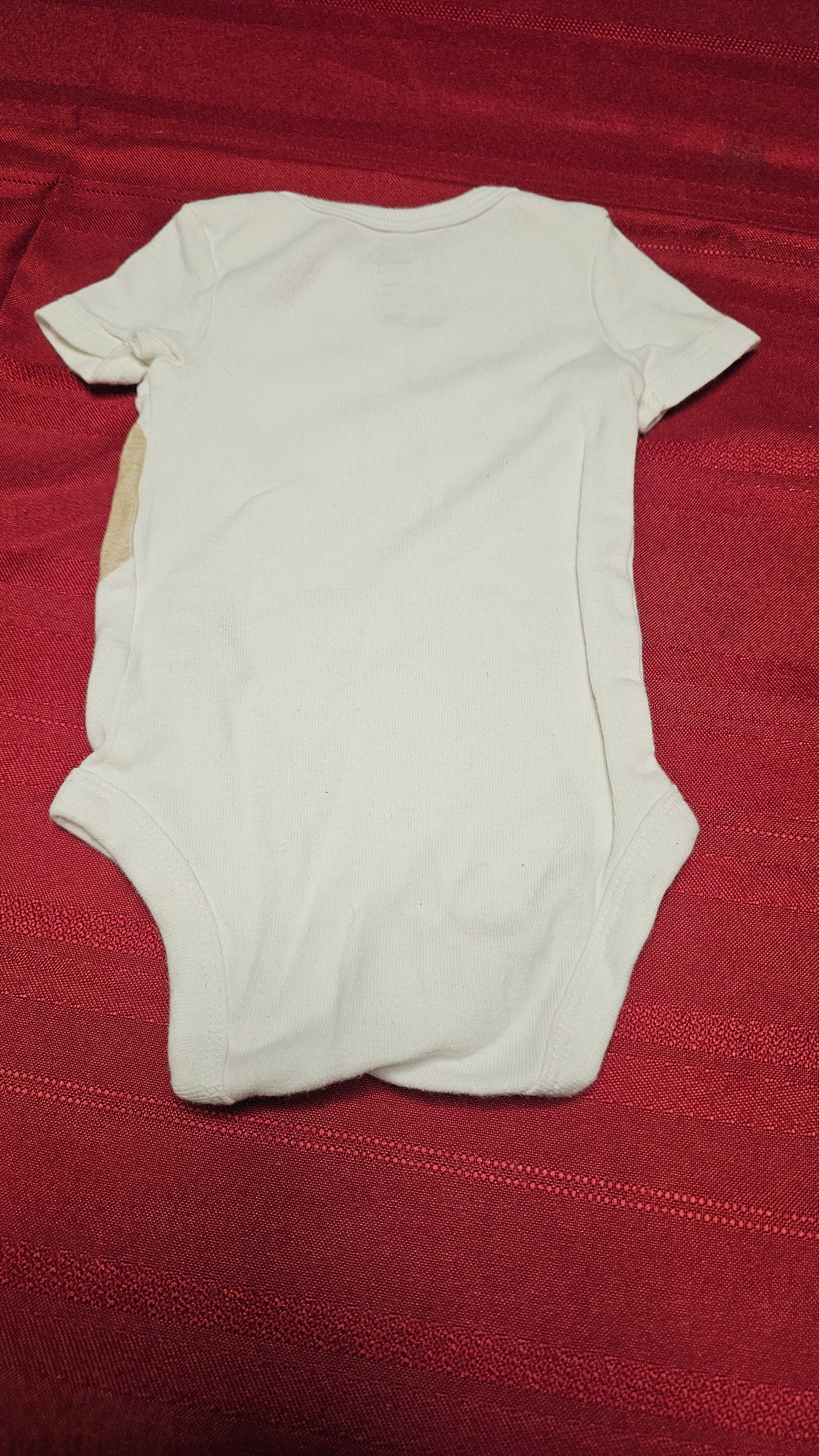 Carters newborn bear