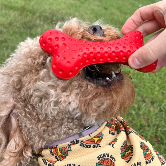 Rubber Bone - The Snag Bin