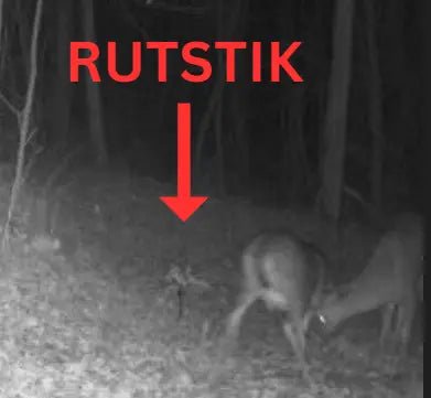 RutStik - The Snag Bin
