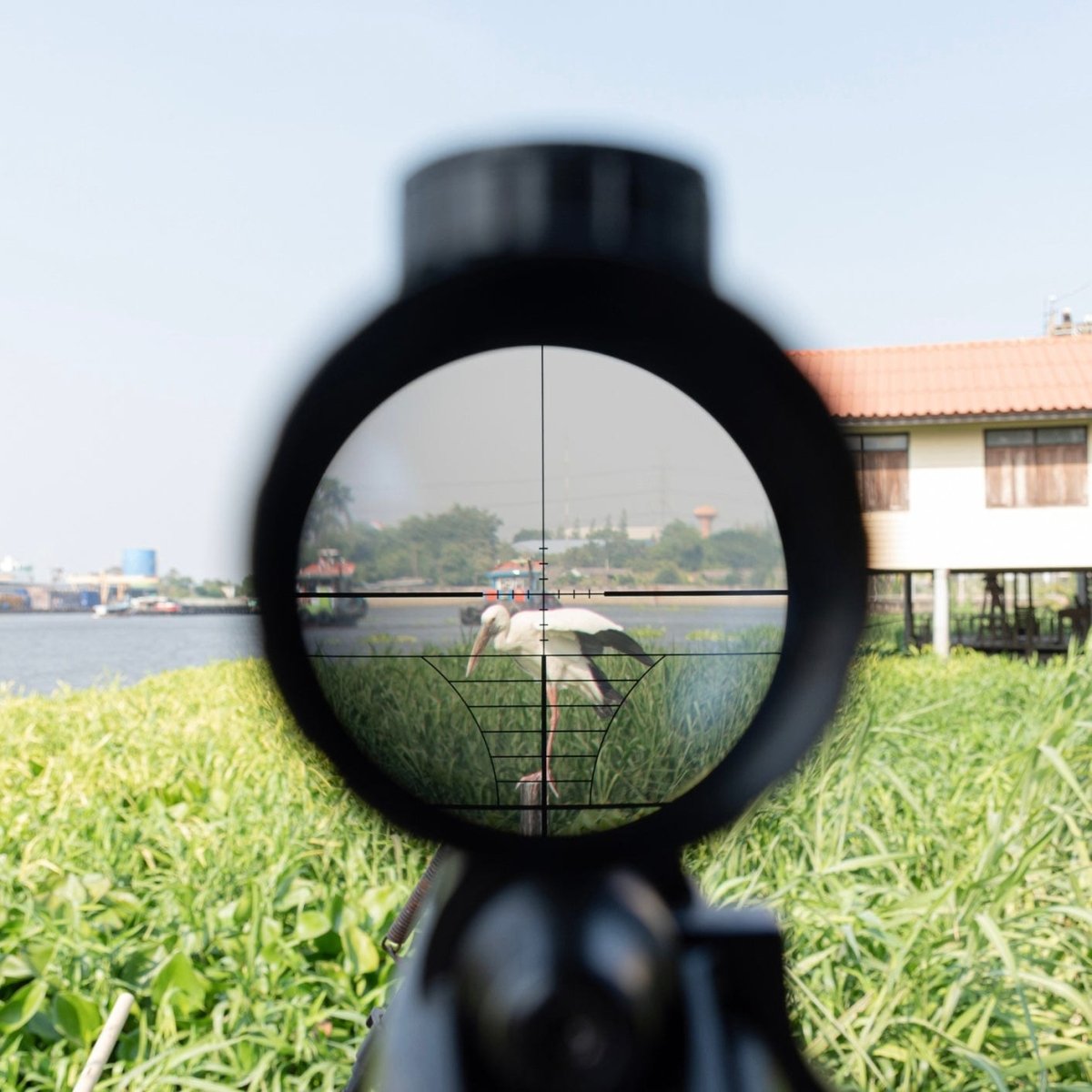 SFT2 ModScope (Multiple Options) - The Snag Bin