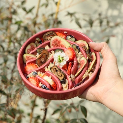 Slow Feeder Dog Bowls - The Snag Bin