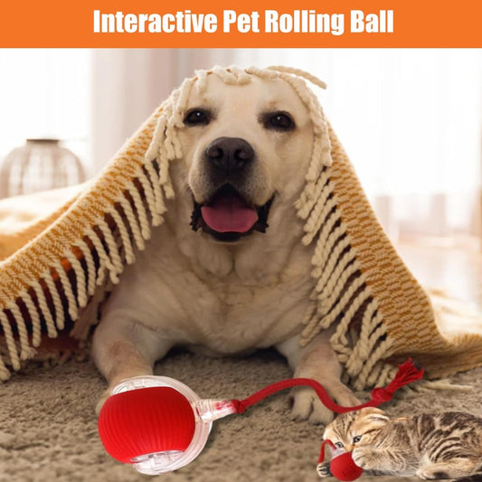 Smart Automatic Interactive Smart Ball - The Snag Bin