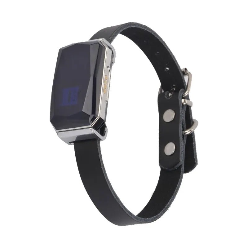 Smart GPS pet tracker: - The Snag Bin