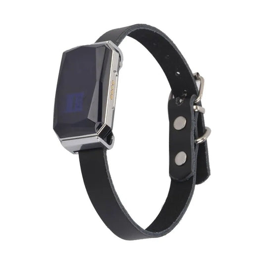 Smart GPS pet tracker: - The Snag Bin