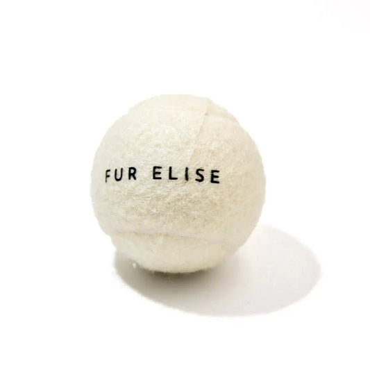 So Fetch! Tennis Ball - Bone - The Snag Bin