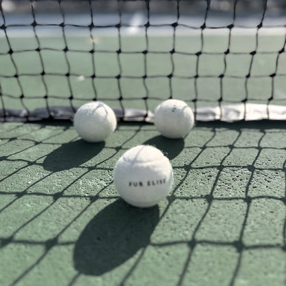 So Fetch! Tennis Ball - Bone - The Snag Bin