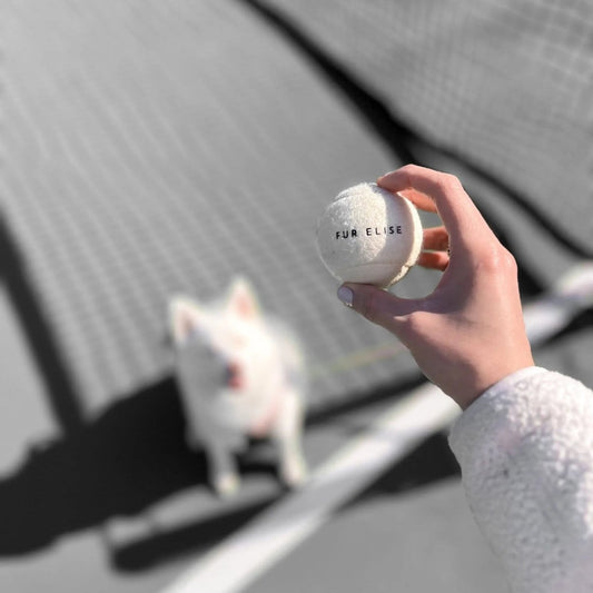 So Fetch! Tennis Ball - Bone - The Snag Bin