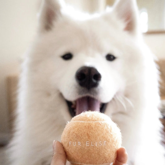 So Fetch! Tennis Ball - Sand - The Snag Bin