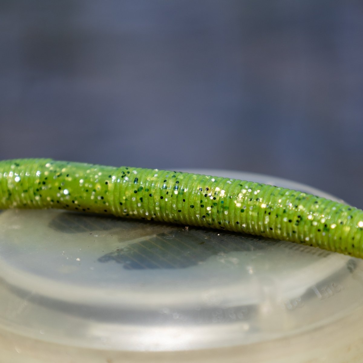 Soft Plastic Wacky Worms 5.5in - 24 Pack - The Snag Bin