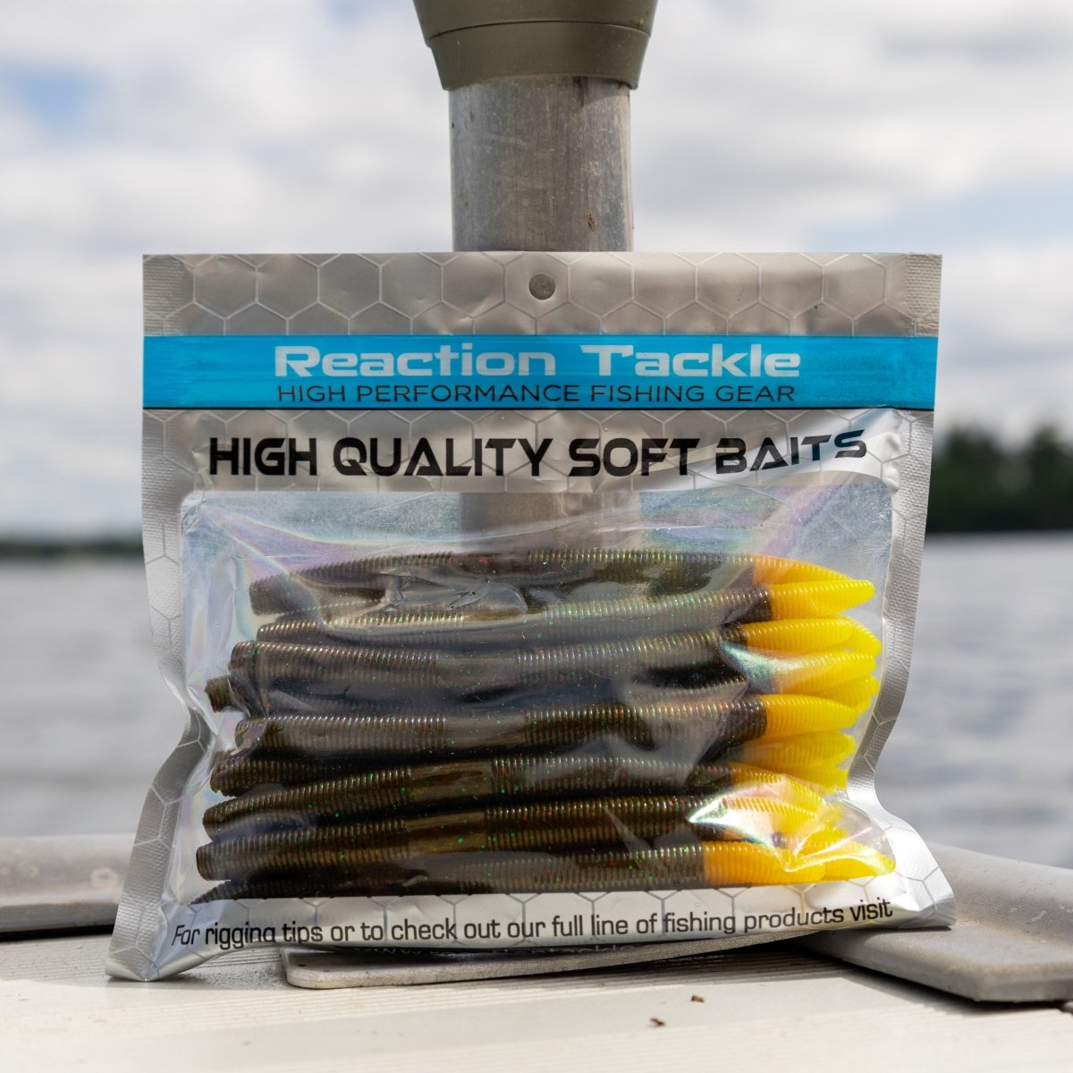 Soft Plastic Wacky Worms 5.5in - 24 Pack - The Snag Bin