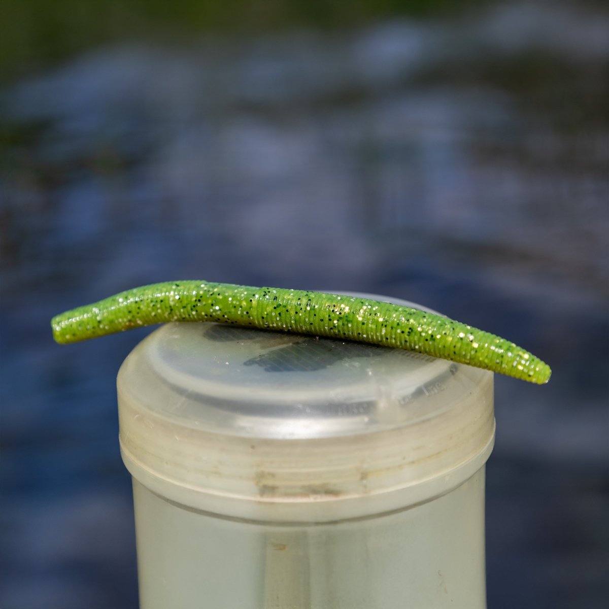 Soft Plastic Wacky Worms 5.5in - 24 Pack - The Snag Bin