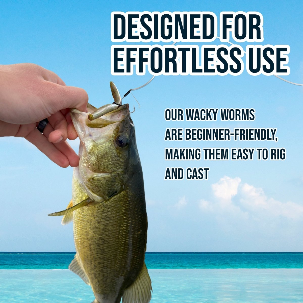 Soft Plastic Wacky Worms 5.5in - 24 Pack - The Snag Bin