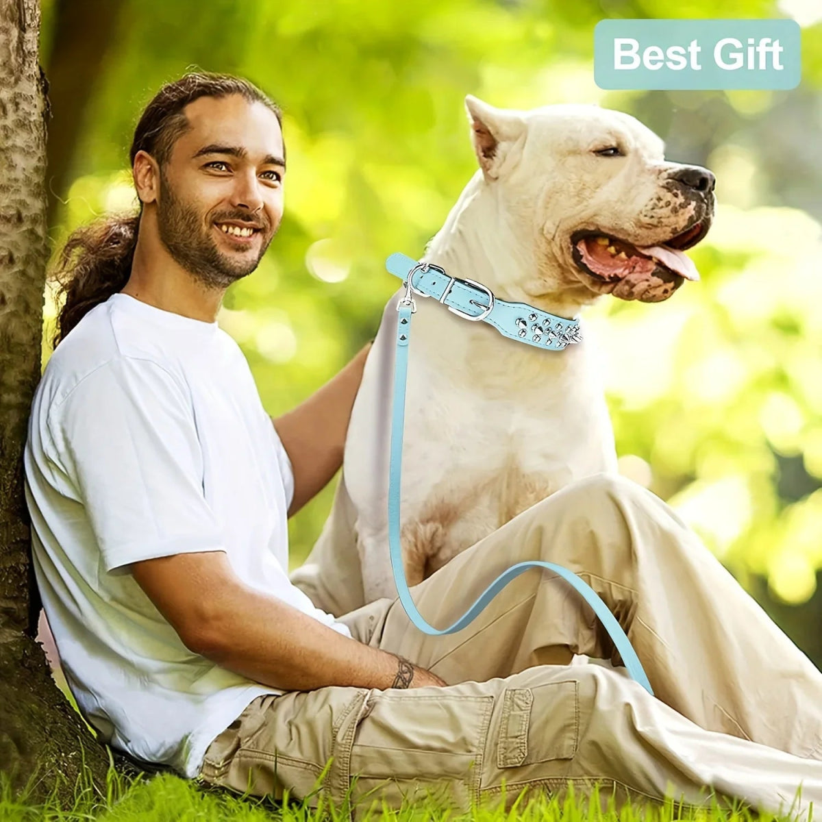 Spiked Dog Collar - The Snag Bin
