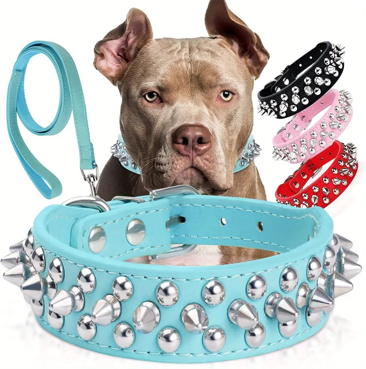 Spiked Dog Collar - The Snag Bin