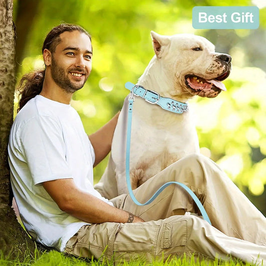 Spiked Dog Collar - The Snag Bin