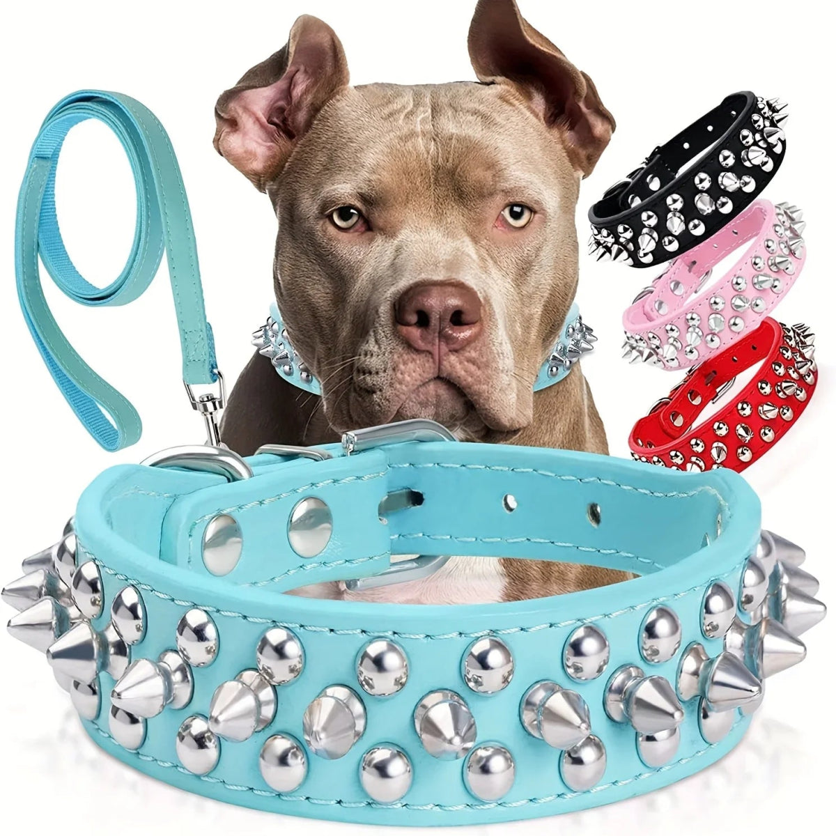 Spiked Dog Collar - The Snag Bin