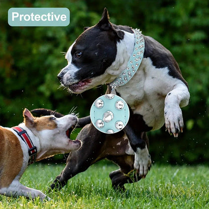 Spiked Dog Collar - The Snag Bin