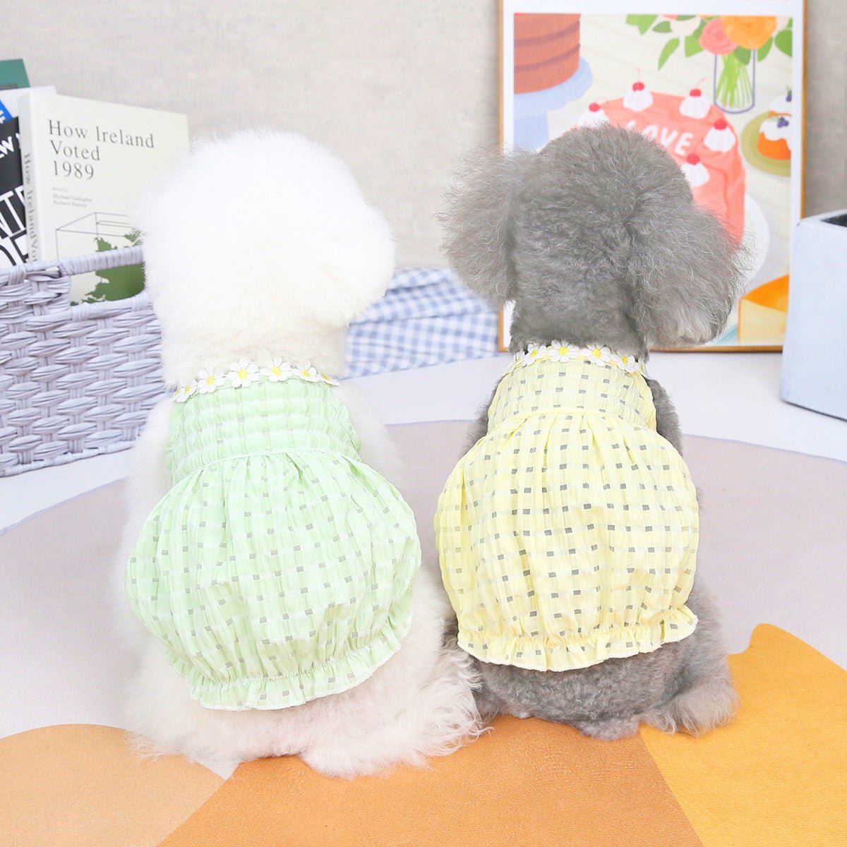 Spring And Summer Dog Clothes - The Snag Bin