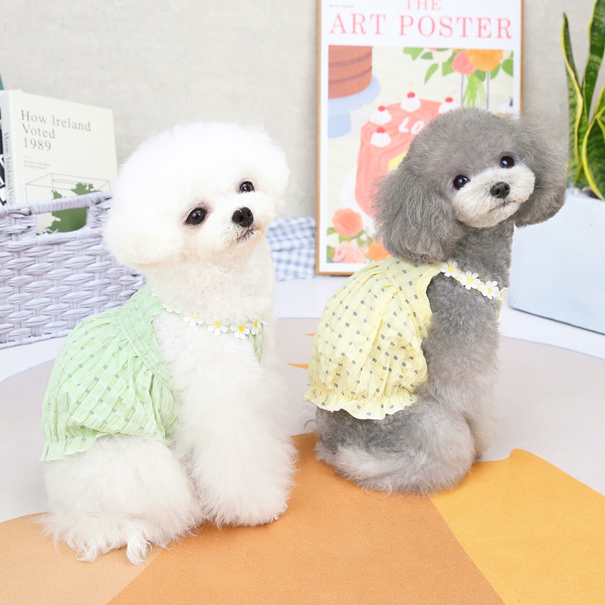 Spring And Summer Dog Clothes - The Snag Bin