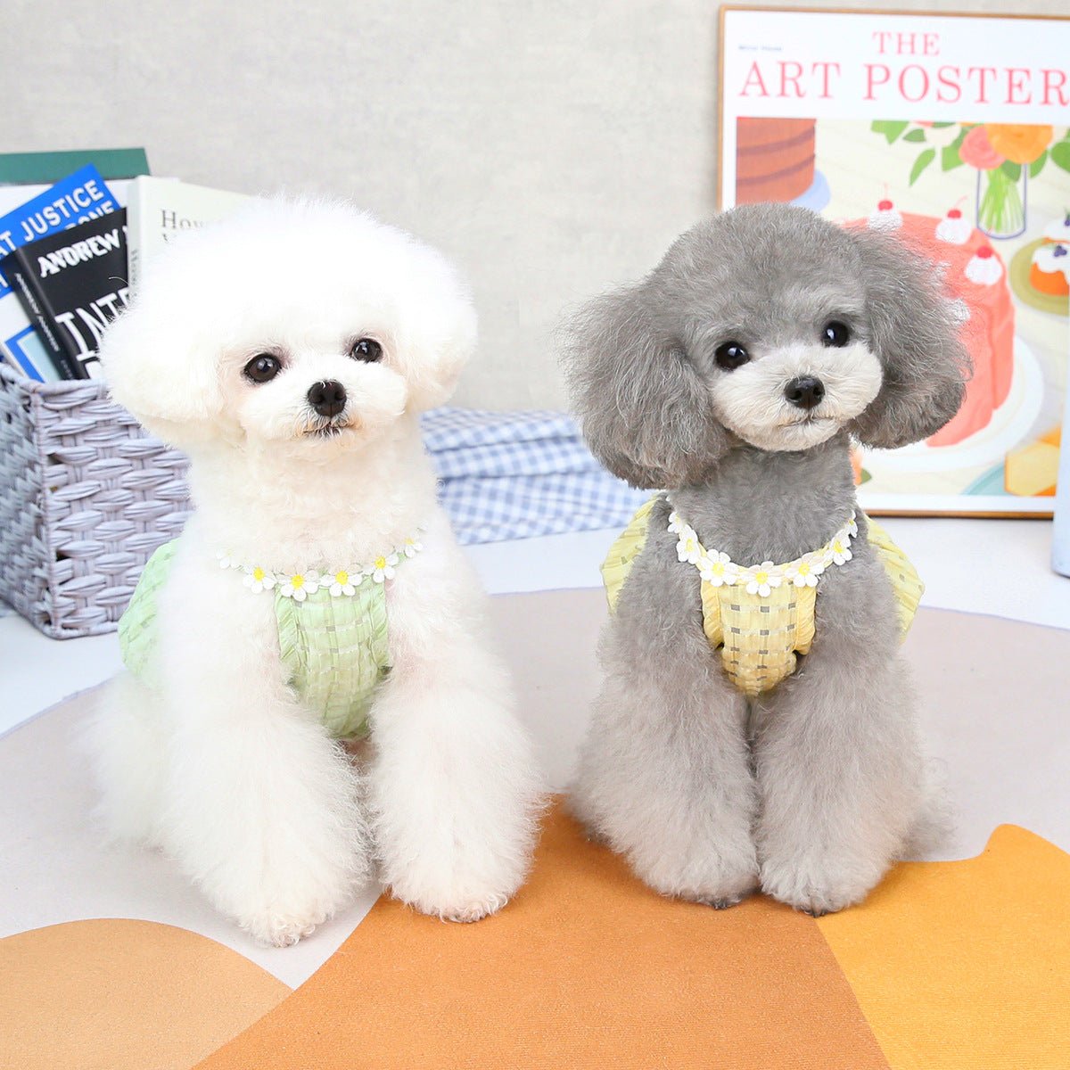 Spring And Summer Dog Clothes - The Snag Bin