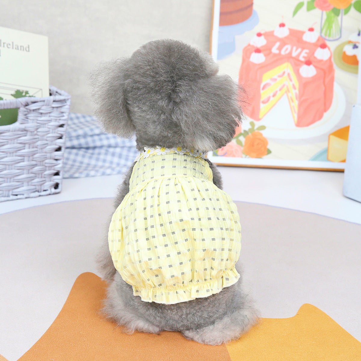 Spring And Summer Dog Clothes - The Snag Bin