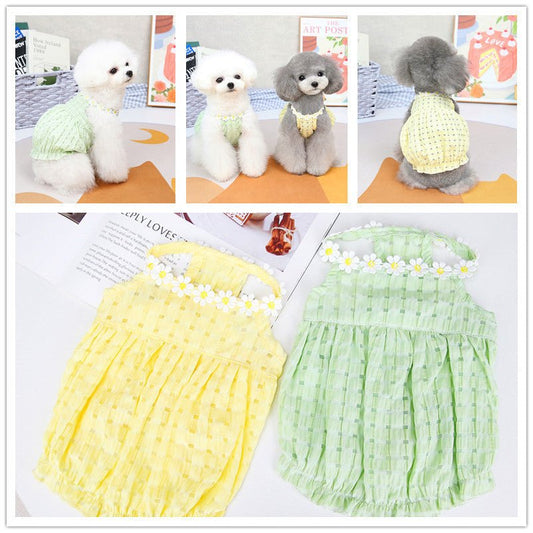 Spring And Summer Dog Clothes - The Snag Bin