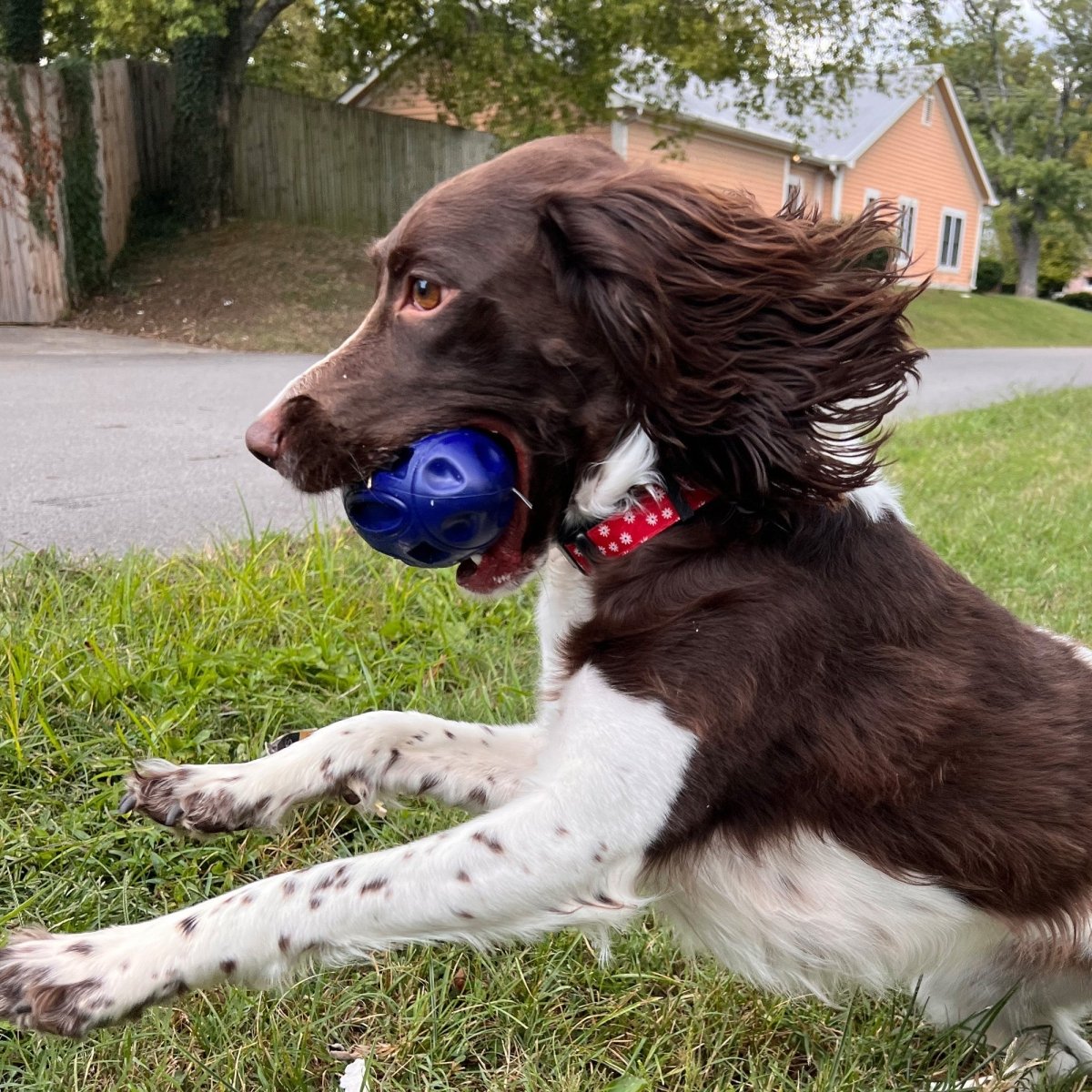 Squeak Rubber Football - The Snag Bin