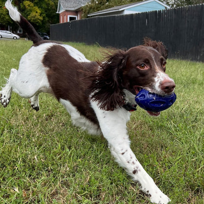 Squeak Rubber Football - The Snag Bin