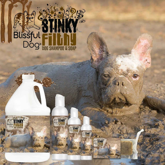 Stinky Filthy Dog Shampoo & Soap - The Snag Bin
