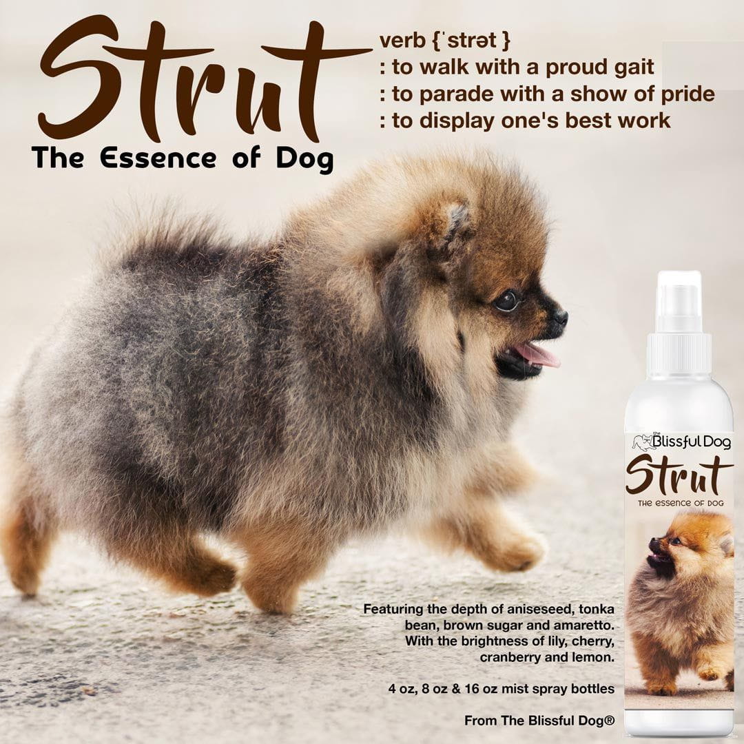 Strut Dog Cologne - The Snag Bin
