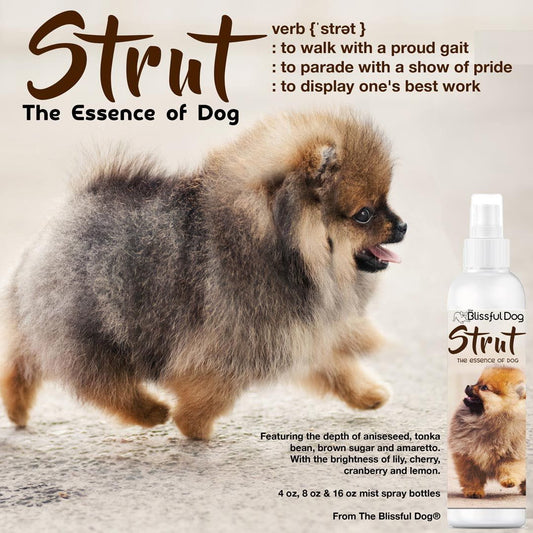 Strut Dog Cologne - The Snag Bin