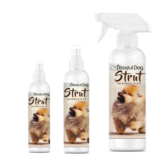 Strut Dog Cologne - The Snag Bin
