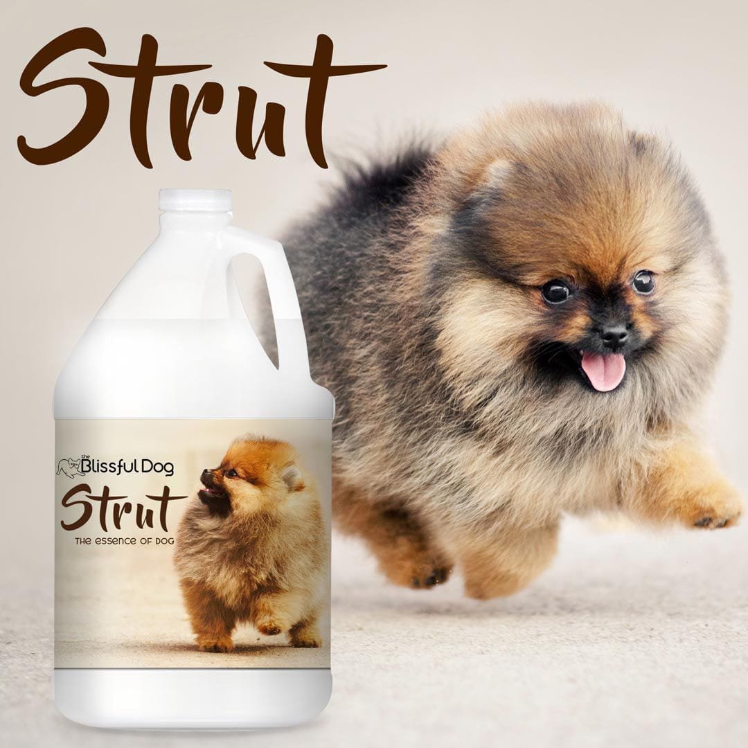 Strut Dog Cologne - The Snag Bin