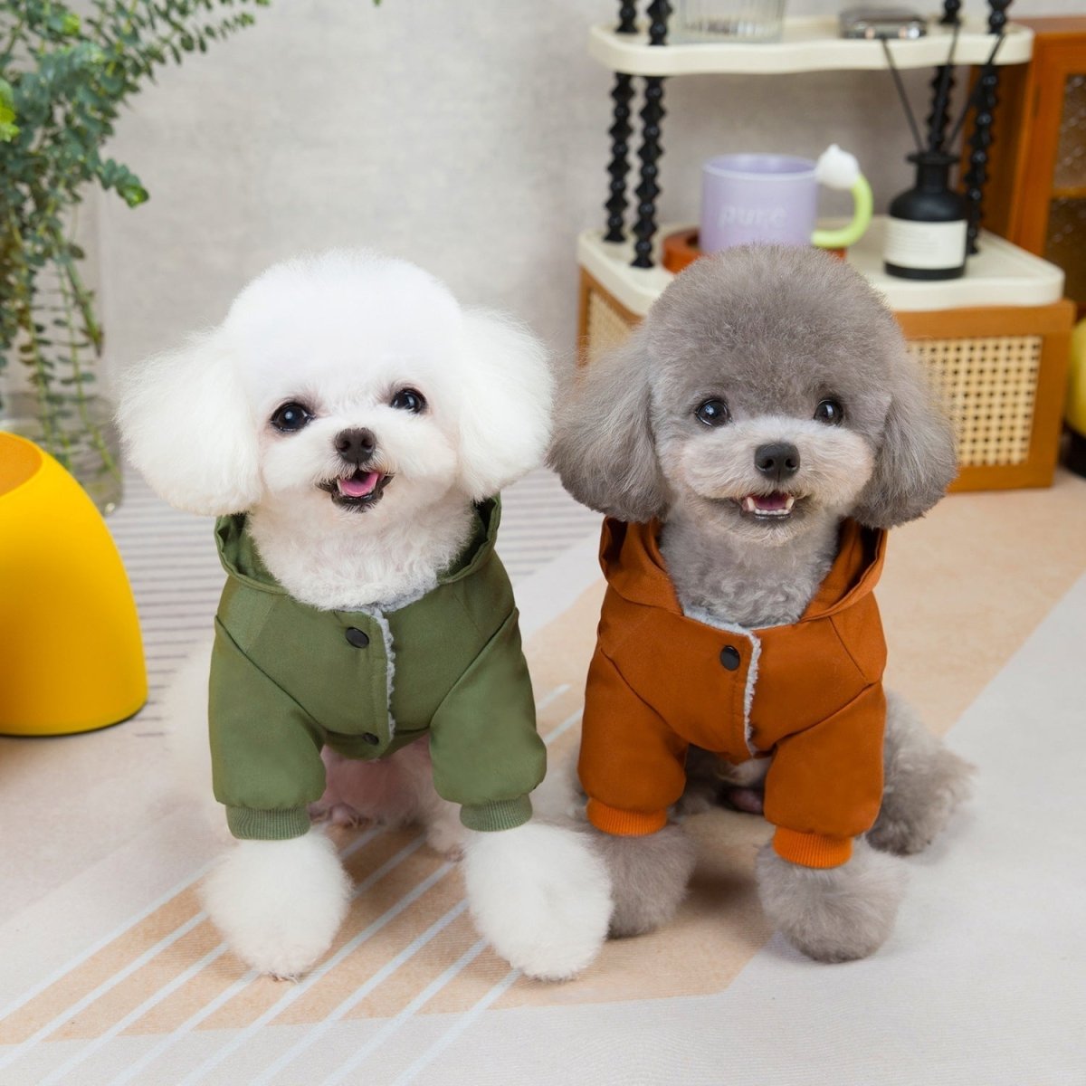 Sweaters for dogs and cats - The Snag Bin