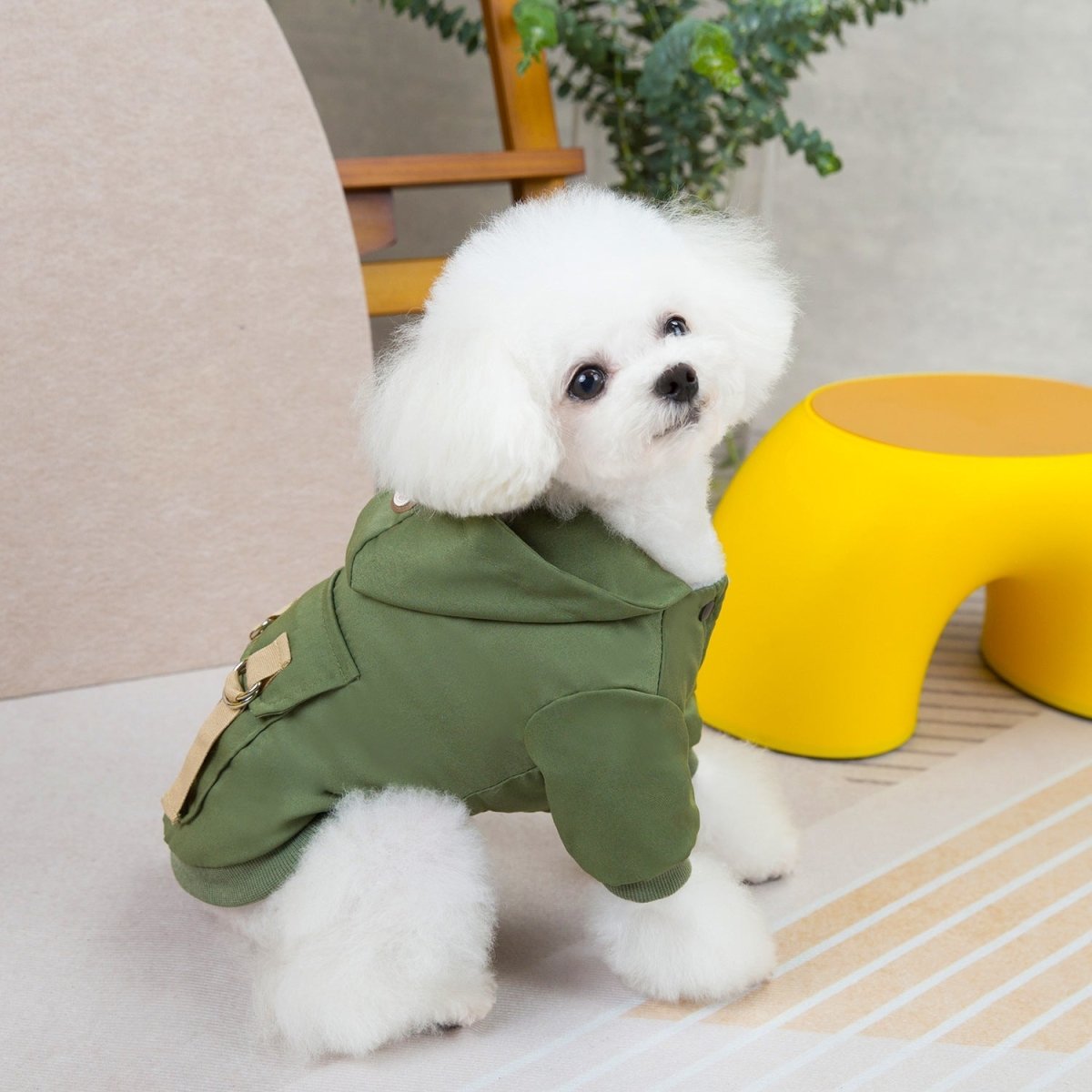 Sweaters for dogs and cats - The Snag Bin