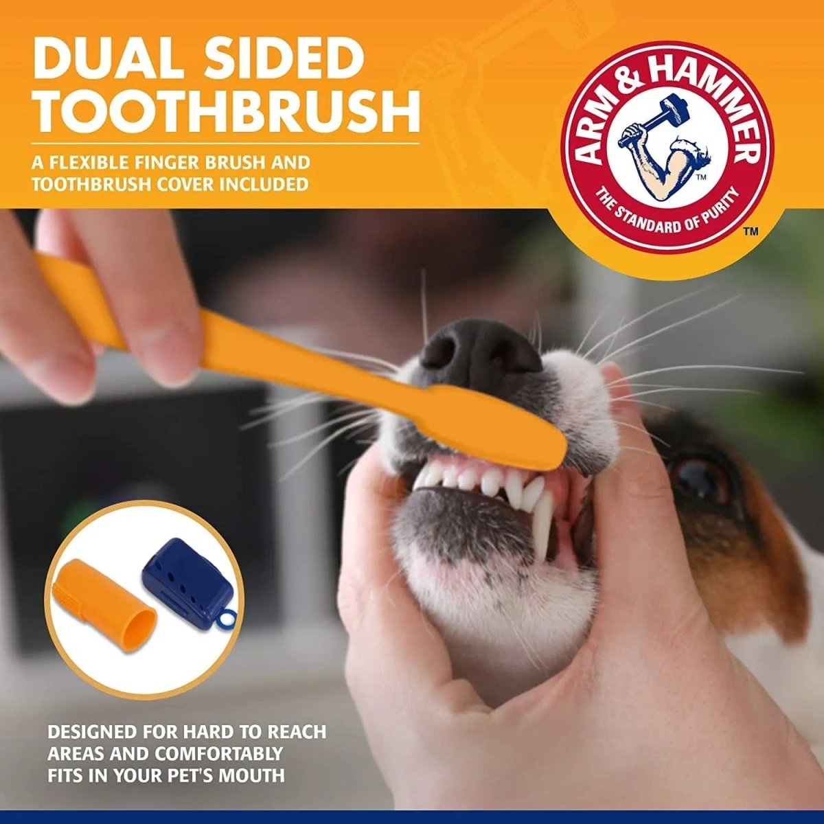 Tartar Control Kit for dogs - The Snag Bin