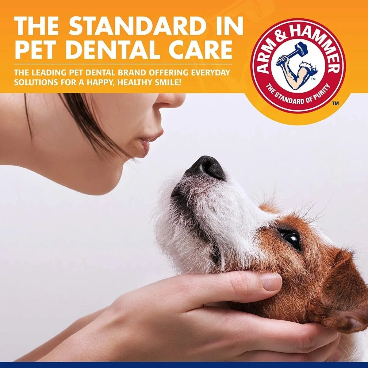 Tartar Control Kit for dogs - The Snag Bin